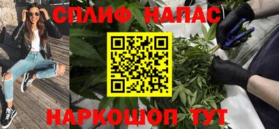 СК Славянск-на-Кубани