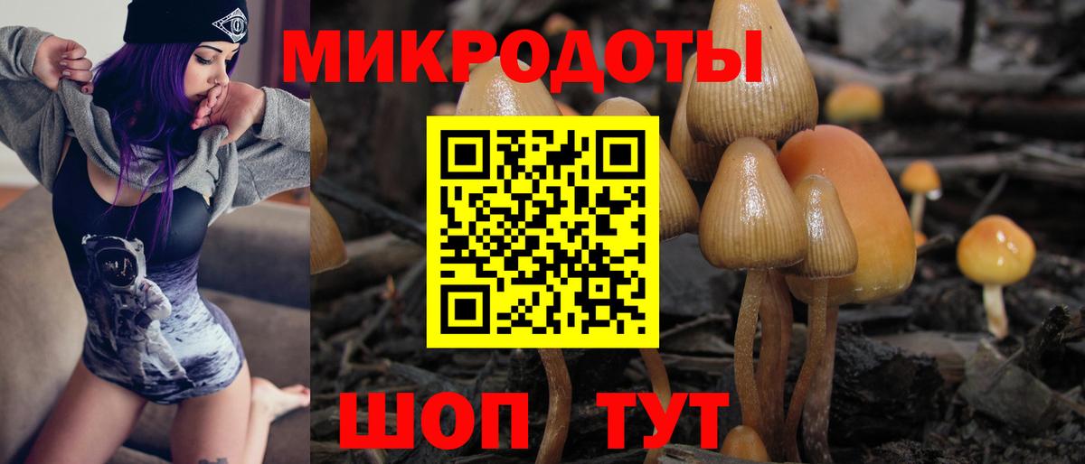 Псилоцибиновые грибы Psilocybine cubensis  Вход с VPN  Боровичи 