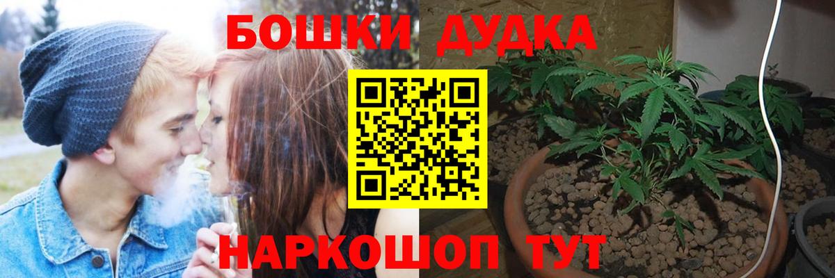 Бошки марихуана White Widow  МАРИХУАНА планчик  Боровичи  Вход с VPN 